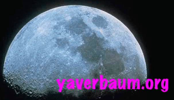 yaverbaum.org